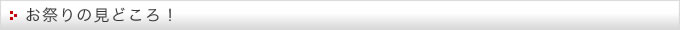 お祭りの見どころ！