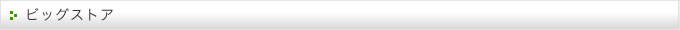 ビッグストア