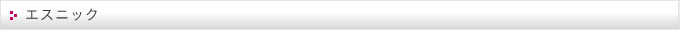 エスニック